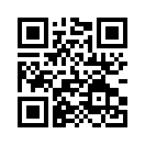 QR CODE 133
