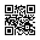 QR CODE 31