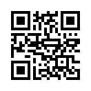 QR CODE 31