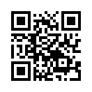 QR CODE 31
