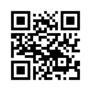 QR CODE 53