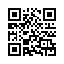QR CODE 291