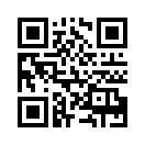 QR CODE 494