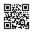 QR CODE 245