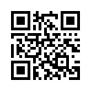 QR CODE 66