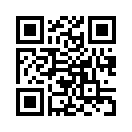 QR CODE 317