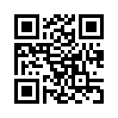 QR CODE 336