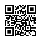 QR CODE 344
