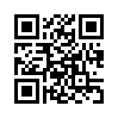 QR CODE 461