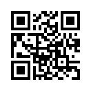 QR CODE 494