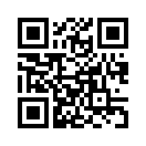 QR CODE 501