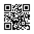 QR CODE 511