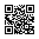 QR CODE 31