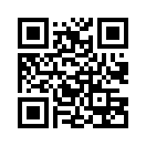 QR CODE 42
