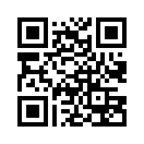 QR CODE 53
