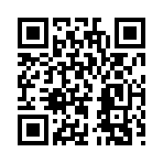 QR CODE 110