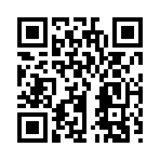 QR CODE 133