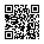 QR CODE 216