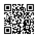 QR CODE 228