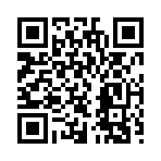 QR CODE 305