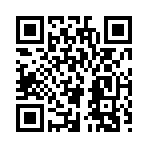 QR CODE 316