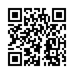 QR CODE 317