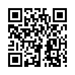 QR CODE 336