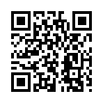 QR CODE 344