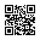 QR CODE 110