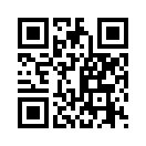 QR CODE 305