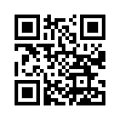 QR CODE 316
