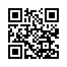 QR CODE 317