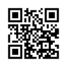 QR CODE 344