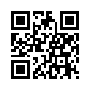 QR CODE 501
