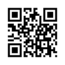 QR CODE 511