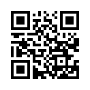 QR CODE 53
