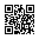 QR CODE 538
