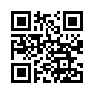 QR CODE 734