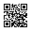 QR CODE 737