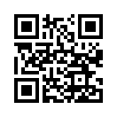 QR CODE 913