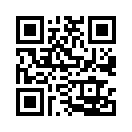 QR CODE 133