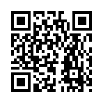 QR CODE 110