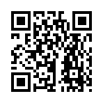 QR CODE 133