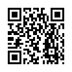QR CODE 181