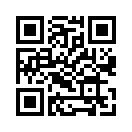 QR CODE 30