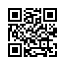QR CODE 31