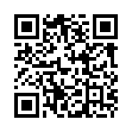 QR CODE 91