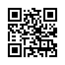 QR CODE 110