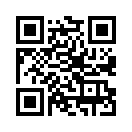 QR CODE 133