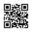 QR CODE 737